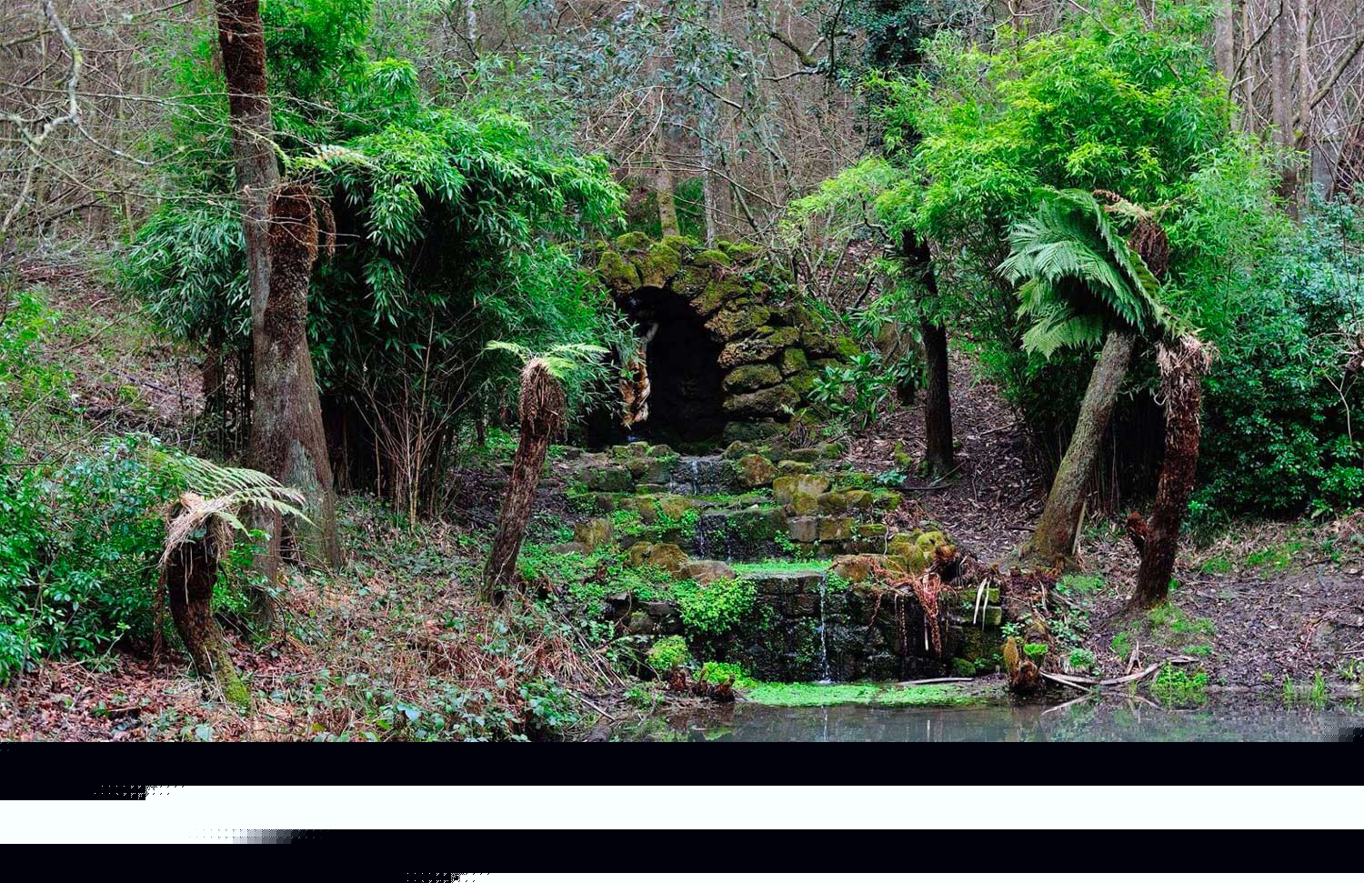 The Crossways Groombridge